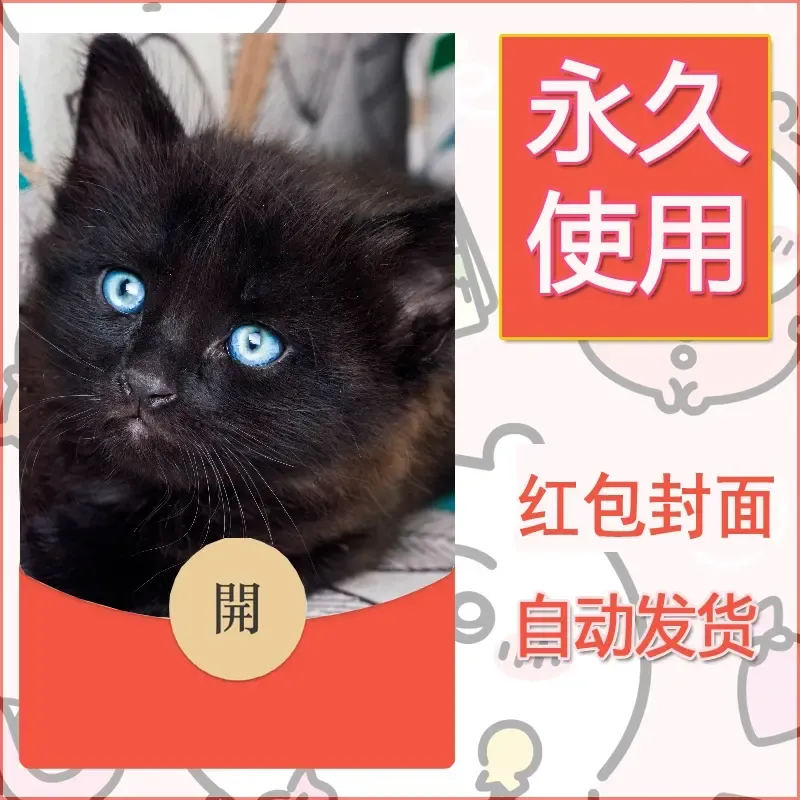 新款永久微信红包封面宠物系列diy素材144 - 会优科技优惠价¥0.42