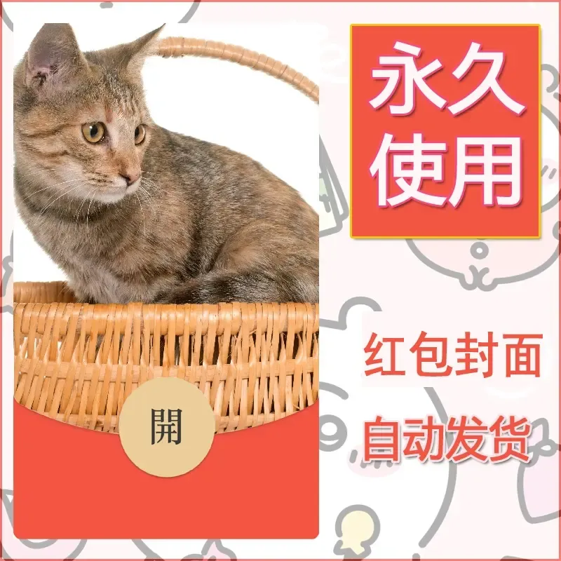 新款永久微信红包封面宠物系列diy素材509