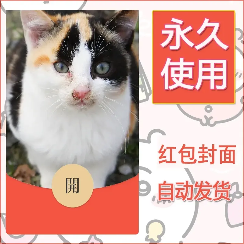 新款永久微信红包封面宠物系列diy素材470 - 会优科技优惠价¥0.42