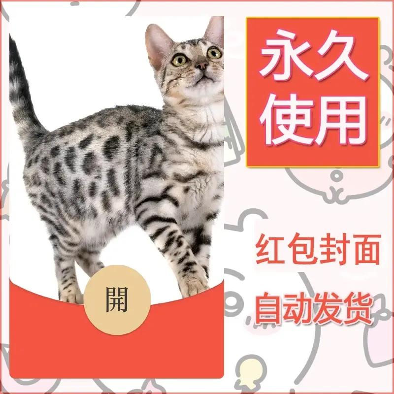 新款永久微信红包封面宠物系列diy素材348 - 会优科技优惠价¥0.42