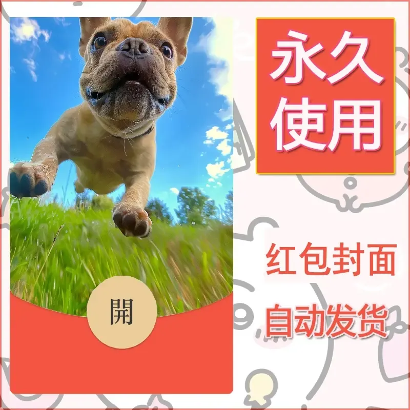 新款永久微信红包封面宠物系列diy素材314