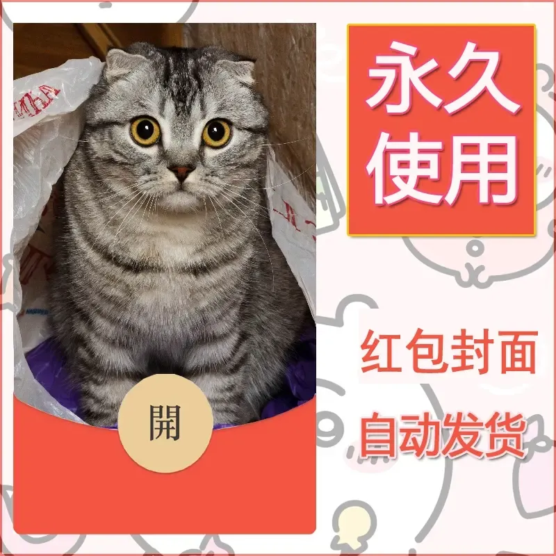新款永久微信红包封面宠物系列diy素材557