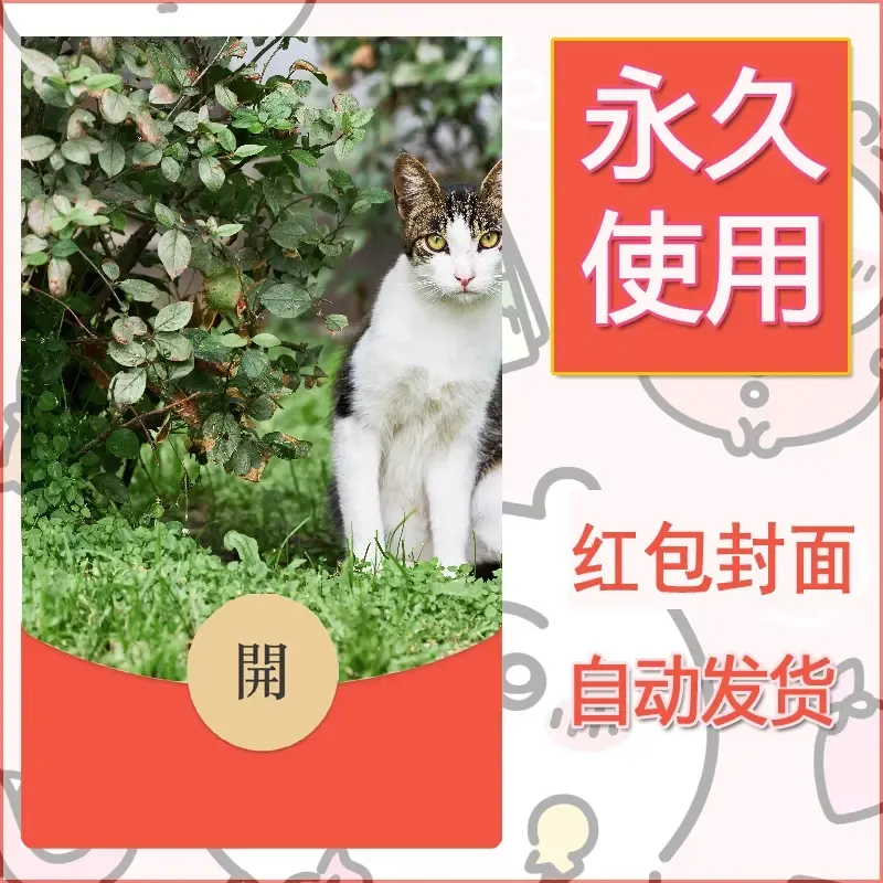 新款永久微信红包封面宠物系列diy素材359 - 会优科技优惠价¥0.42