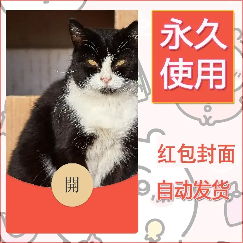 新款永久微信红包封面宠物系列diy素材377 - 会优科技优惠价¥0.42