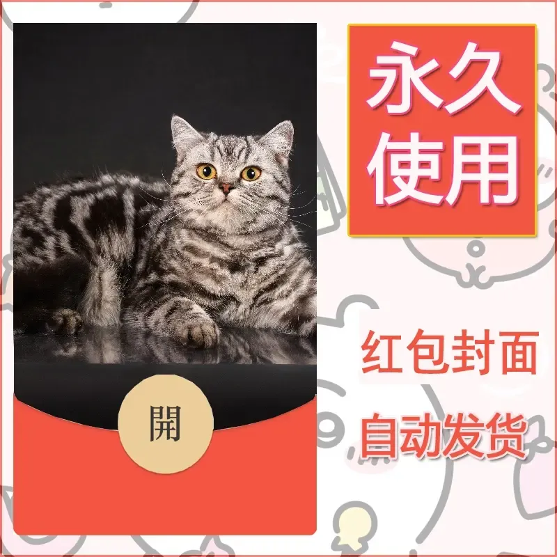 新款永久微信红包封面宠物系列diy素材533