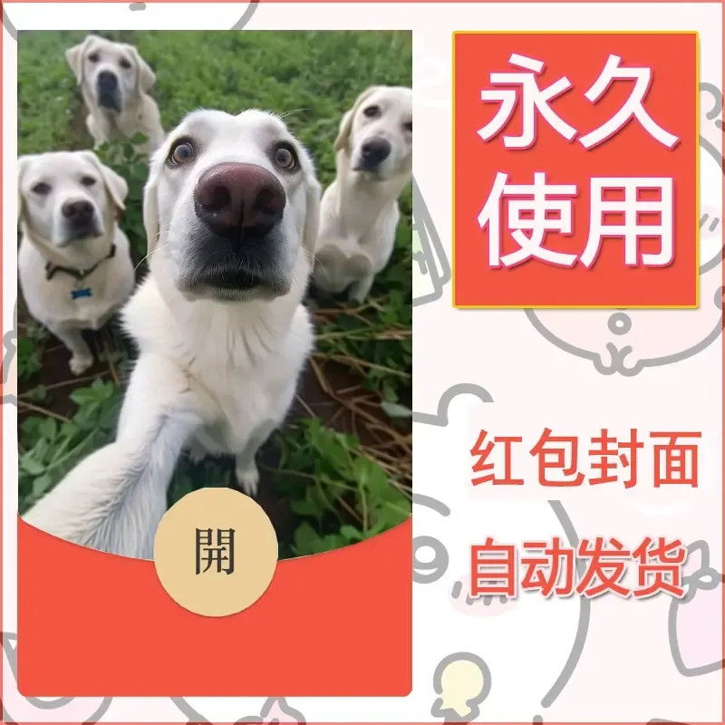 新款永久微信红包封面宠物系列diy素材287
