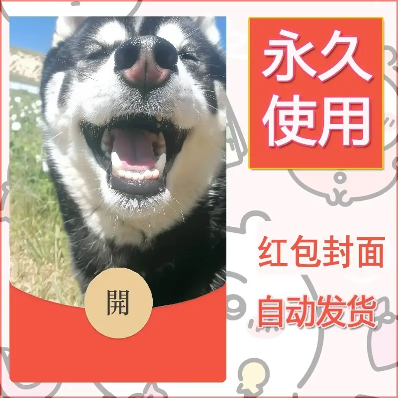 新款永久微信红包封面宠物系列diy素材283 - 会优科技优惠价¥0.42