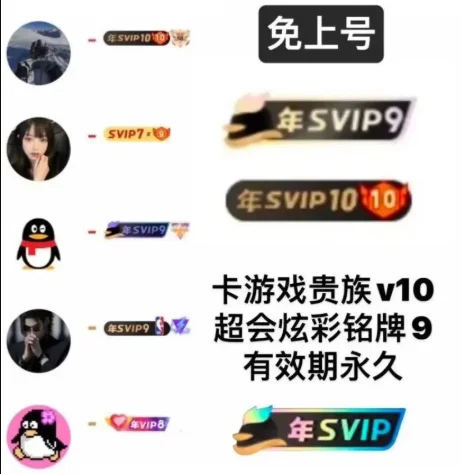 QQ会员系列永久特殊铭牌1积分-可倍拍（先看介绍） - 会优科技优惠价¥0.74