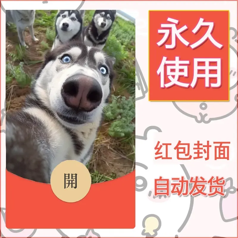 新款永久微信红包封面宠物系列diy素材310