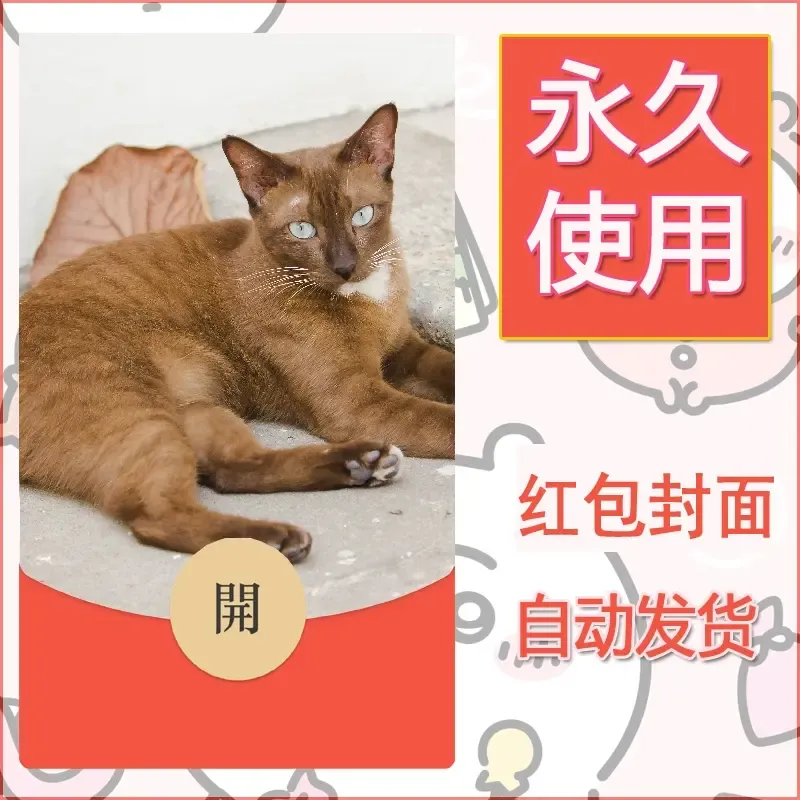 新款永久微信红包封面宠物系列diy素材253 - 会优科技优惠价¥0.42