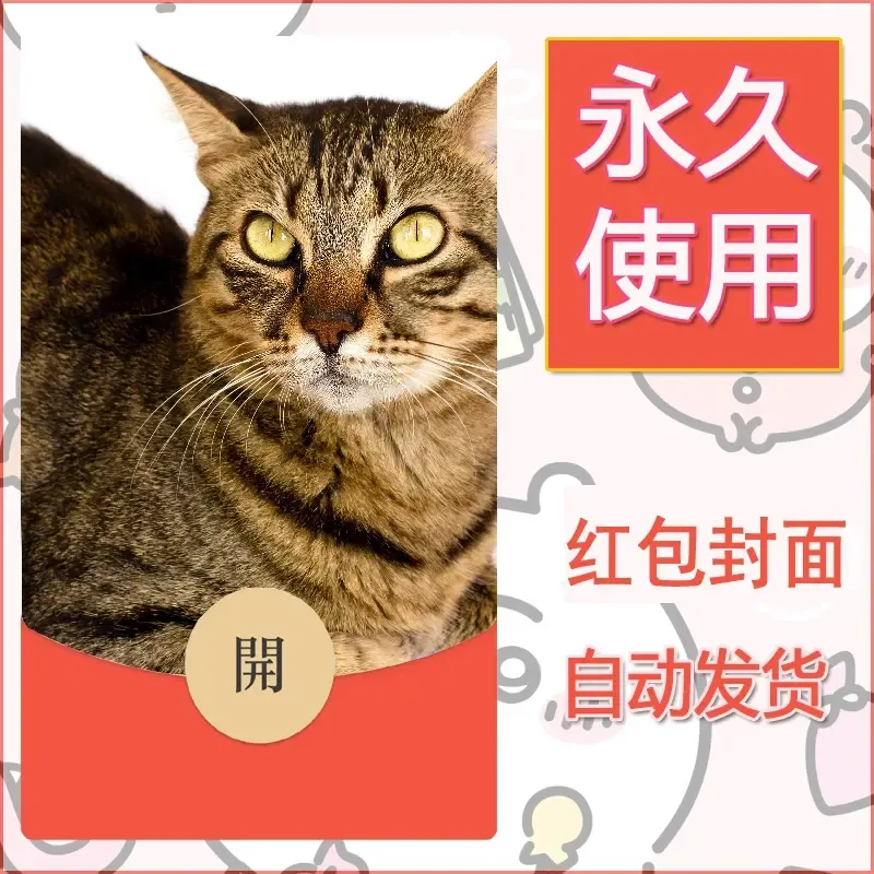 新款永久微信红包封面宠物系列diy素材239 - ¥0.42