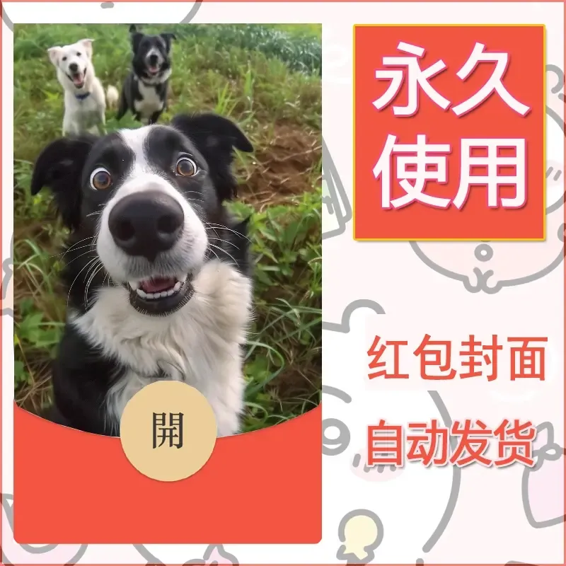 新款永久微信红包封面宠物系列diy素材306 - ¥0.42