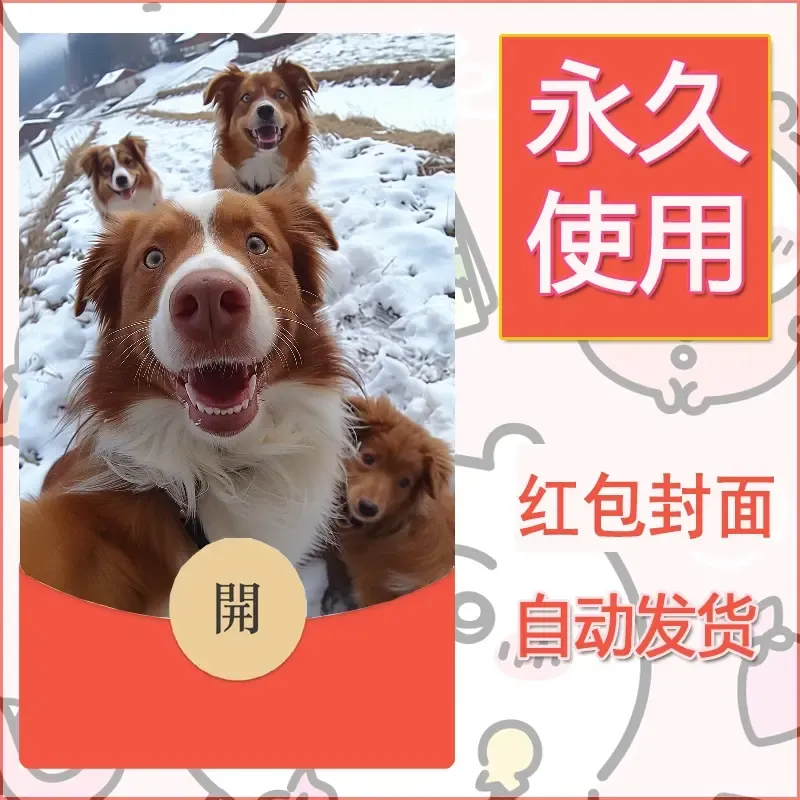 新款永久微信红包封面宠物系列diy素材301