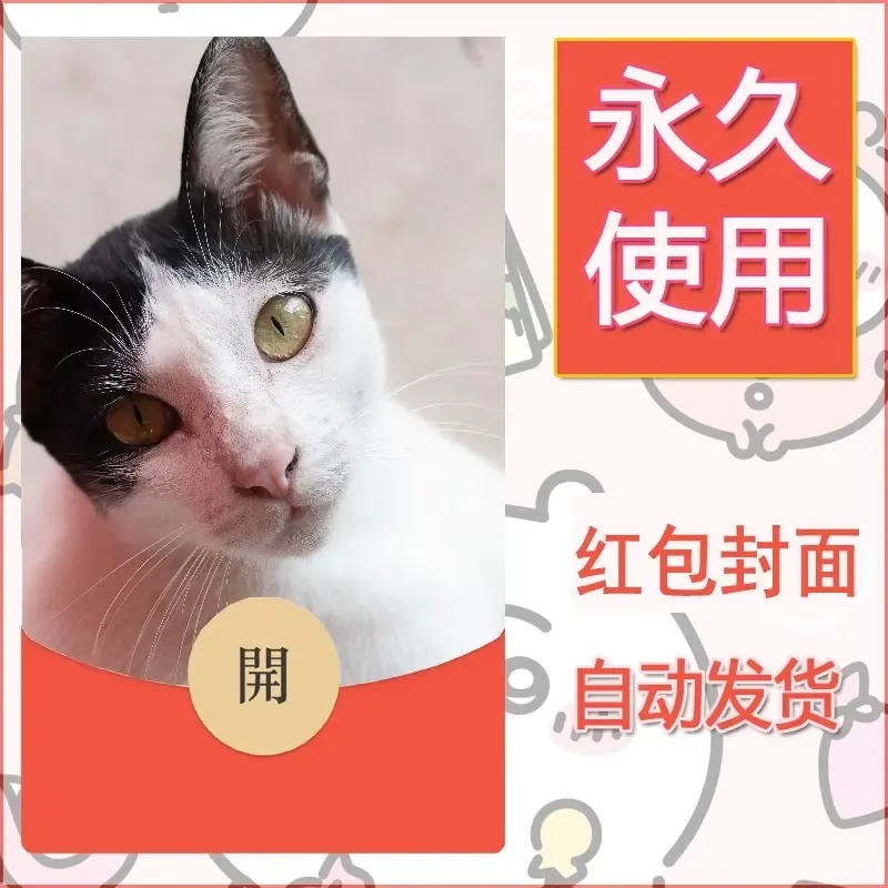 新款永久微信红包封面宠物系列diy素材337